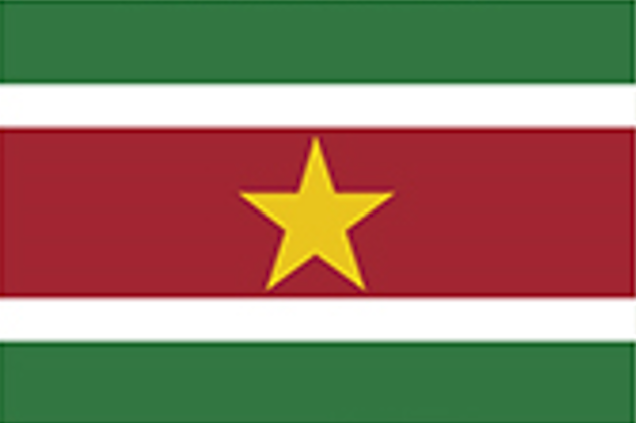 スリナム国旗