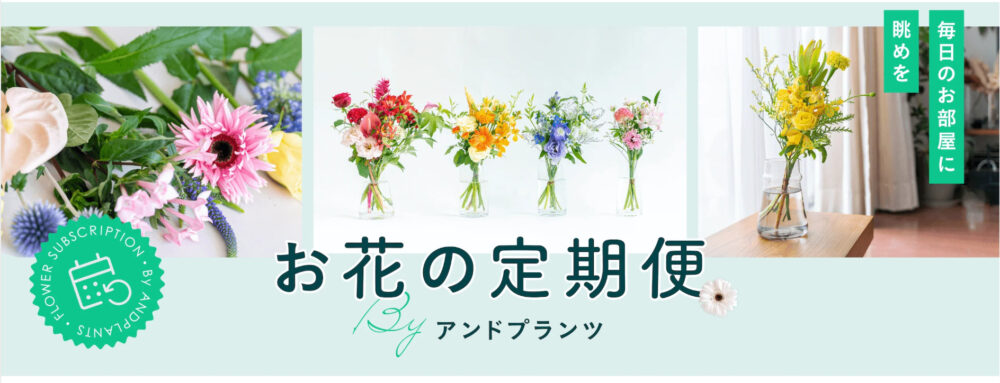 アンドプランツのホームページ画面
