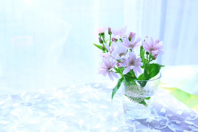 窓辺の花